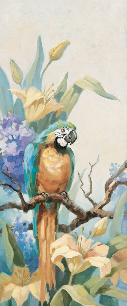Parrot Sitting art print by Unknown for $57.95 CAD